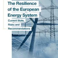 Front cover Energy Resilience FT Report